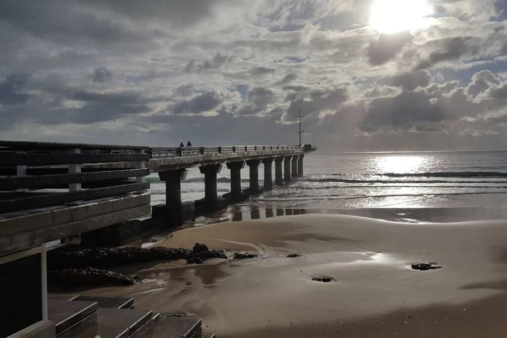 Chelmsford * Port Elizabeth